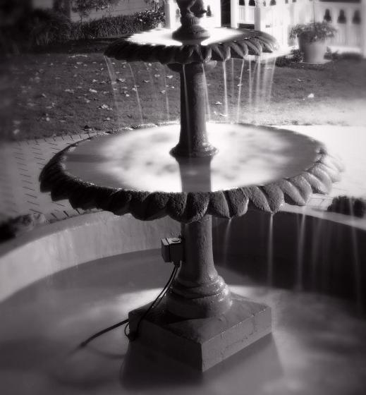 Distinction Coachman Hotel, Palmerston North