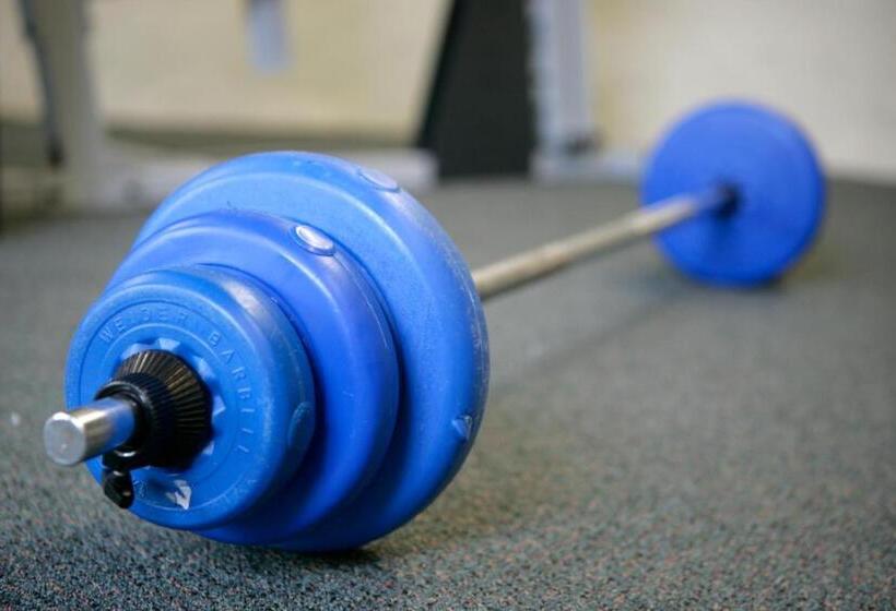 Distinction Coachman Hotel, Palmerston North