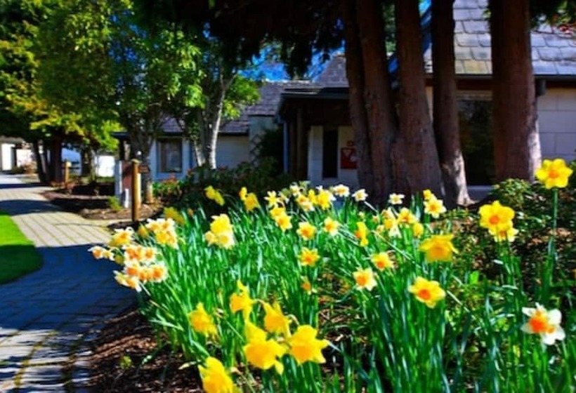 Distinction Te Anau Hotel & Villas