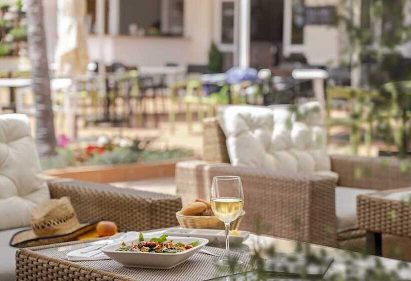 酒店 Dorisol Estrelicia