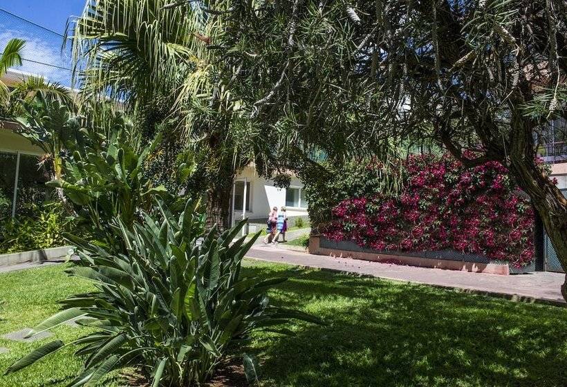 酒店 Dorisol Estrelicia