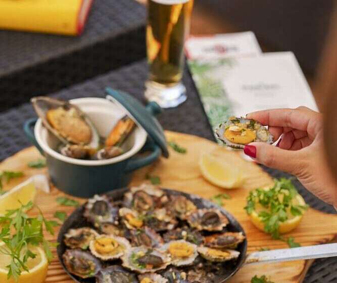 酒店 Dorisol Estrelicia