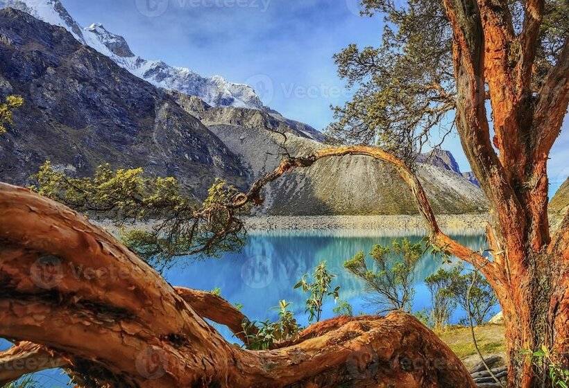 בית מלון כפרי El Tumi