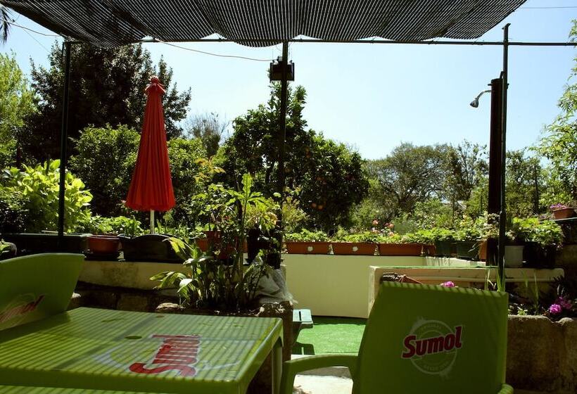 هتل Estoril Porto