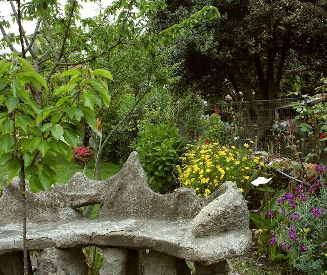 هتل Estoril Porto