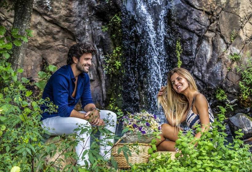 Grande Hotel Das Caldas Da Felgueira