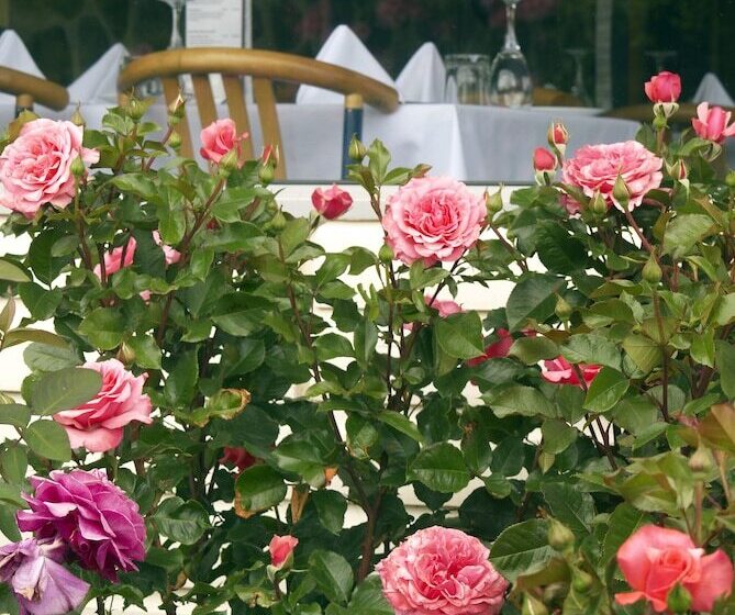 Kingsgate Hotel Te Anau