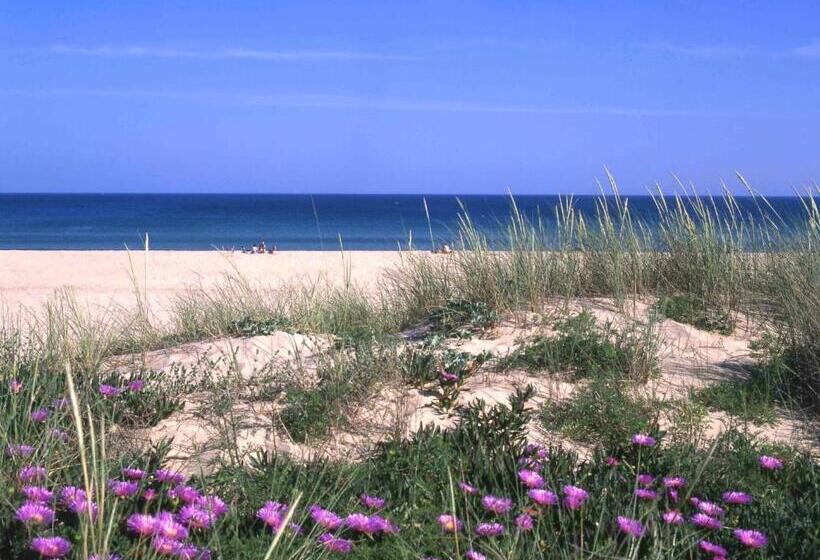 ホテル Lagosmar Story