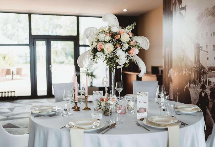 ホテル Mercure Cieszyn