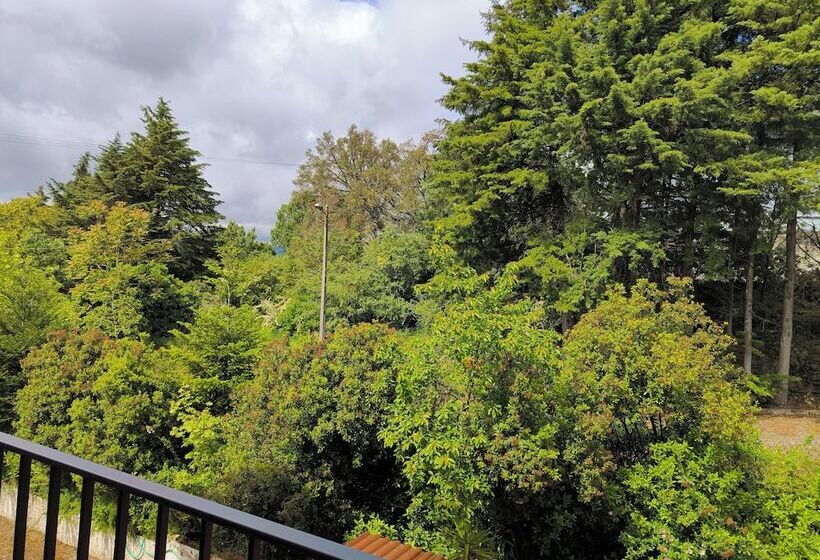 Отель Mira Serra