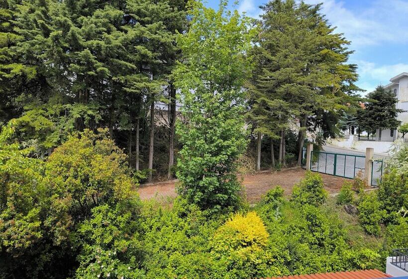 Отель Mira Serra