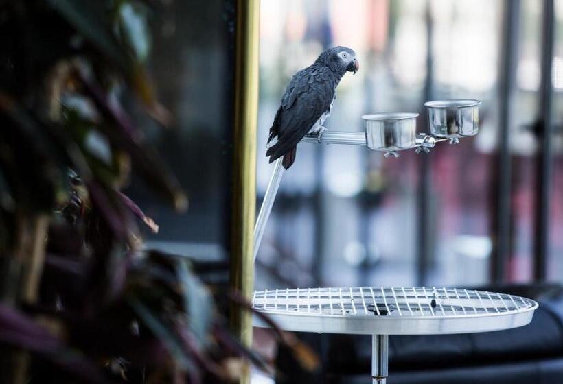 Отель Miracorgo