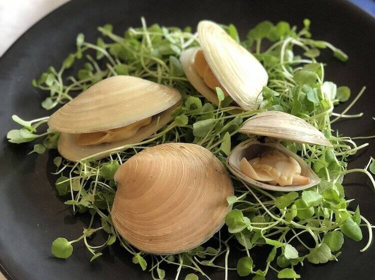 هتل Picton Yacht Club