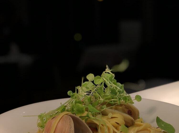 בית מלון כפרי Picton Yacht Club