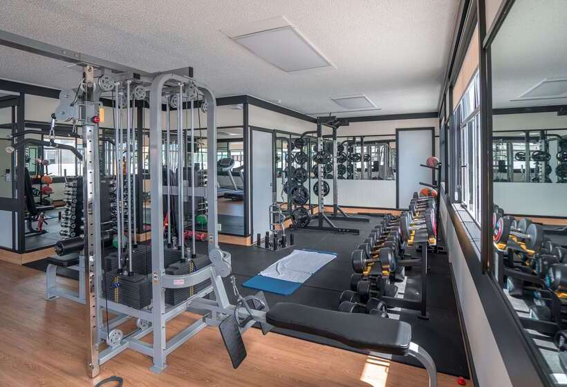 Scenic Hotel Southern Cross