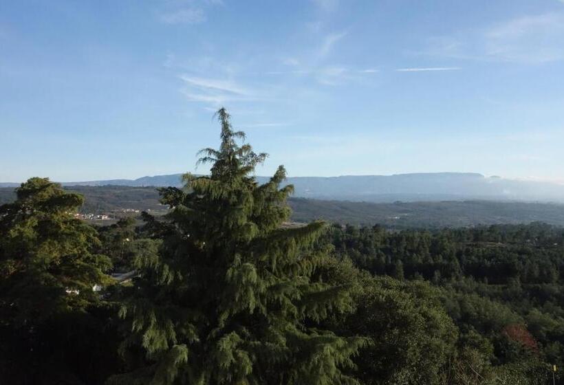 ホテル Senhora Do Castelo