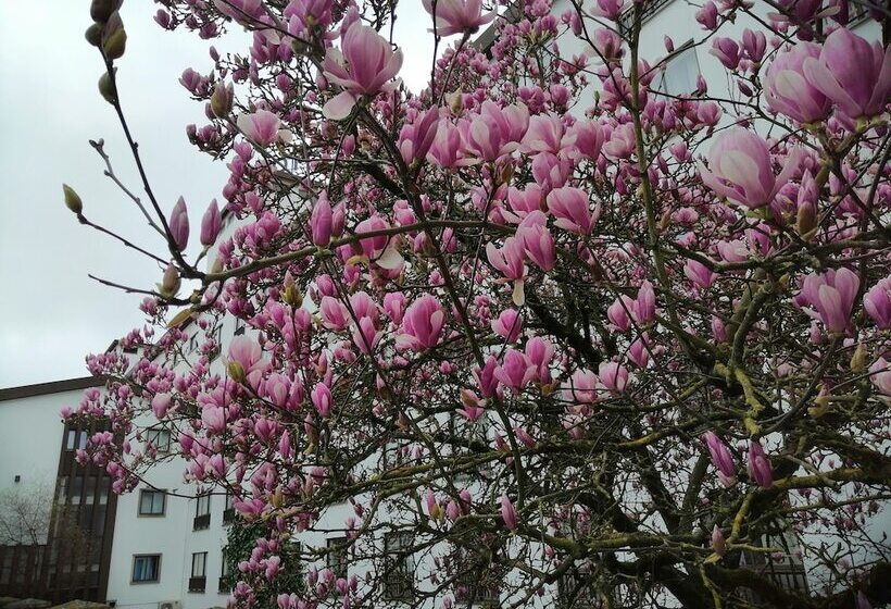 Steyler Fatima Hotel & Congress