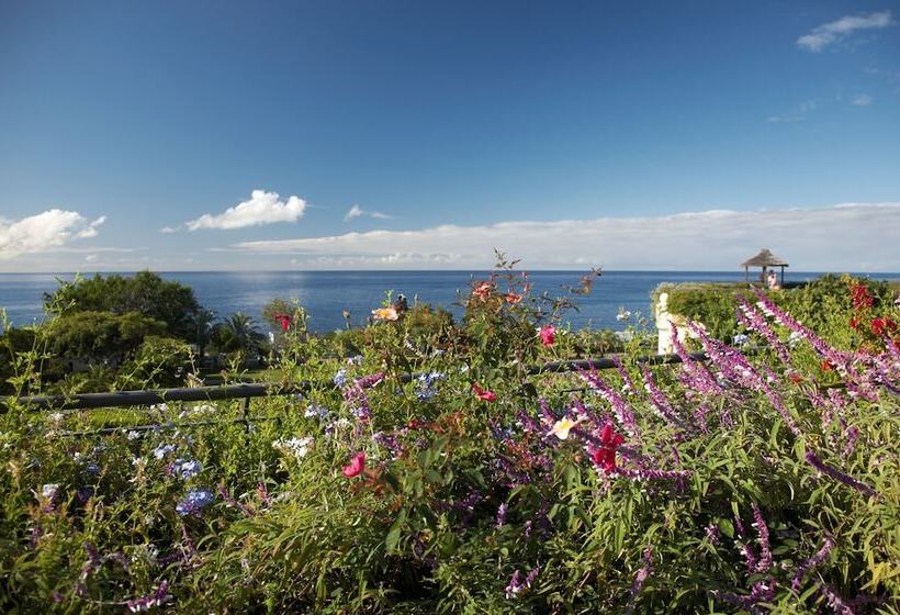 Suite Hotel Eden Mar   Portobay