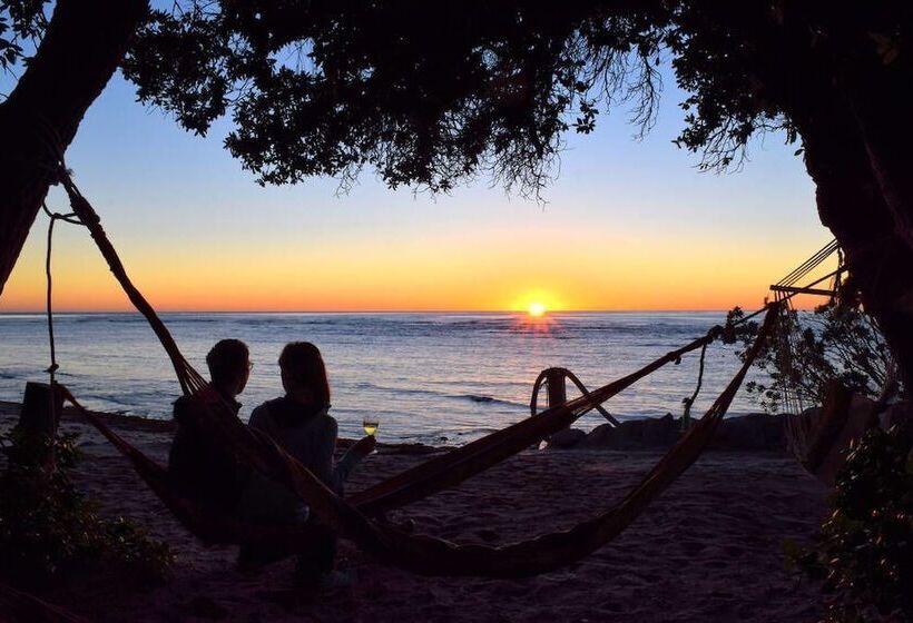 هتل Teal Motor Lodge