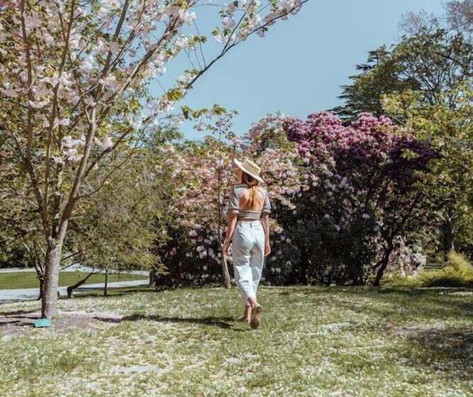 Отель The George