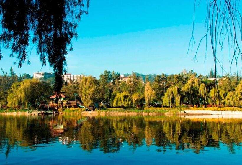 فندق Venus Parkview