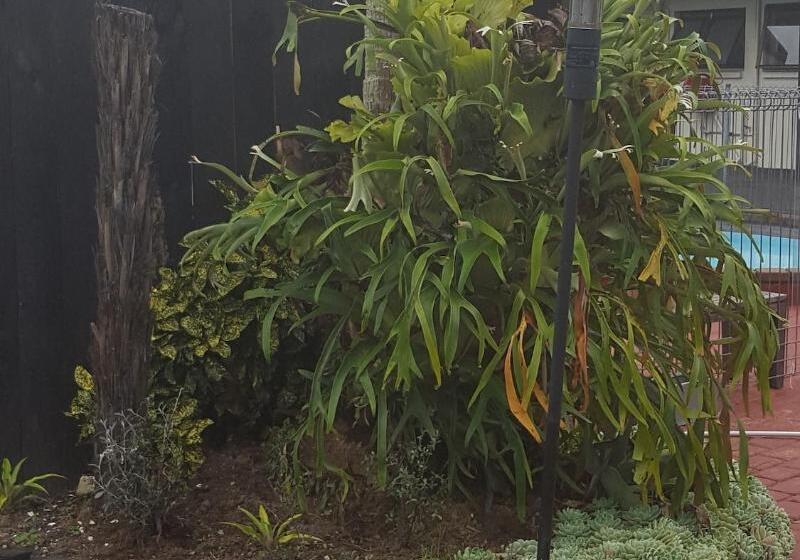 מוטל Walton Park Motor Lodge