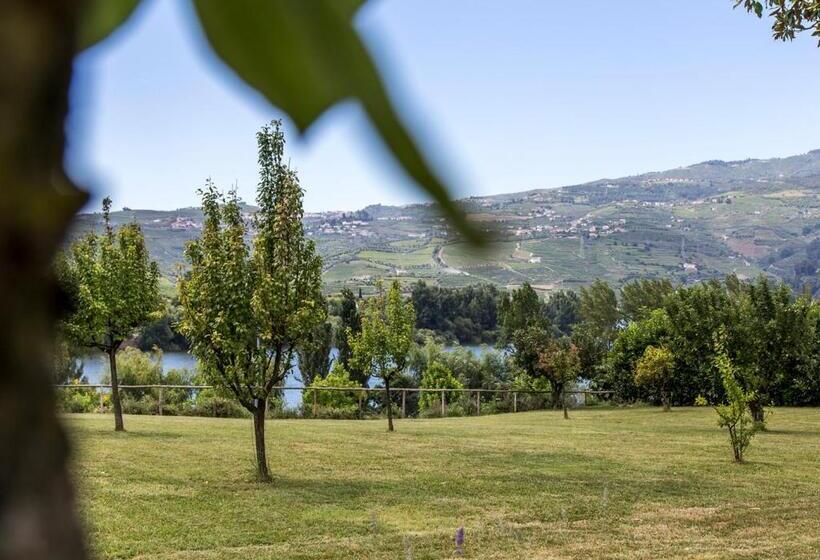 레지던스 Columbano