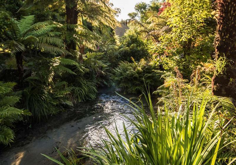 استراحتگاه Ripple Rotorua