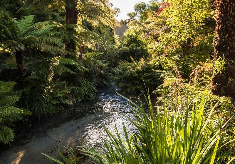 استراحتگاه Ripple Rotorua