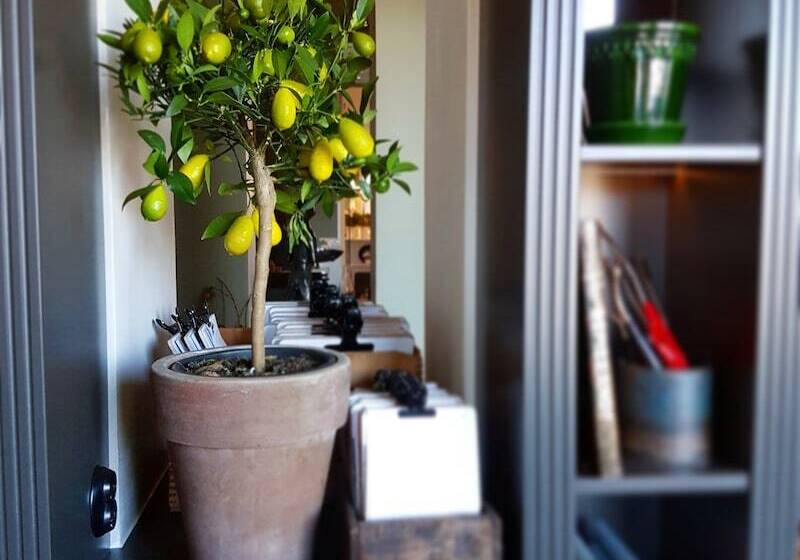 ホテル Best Western Plus Grand