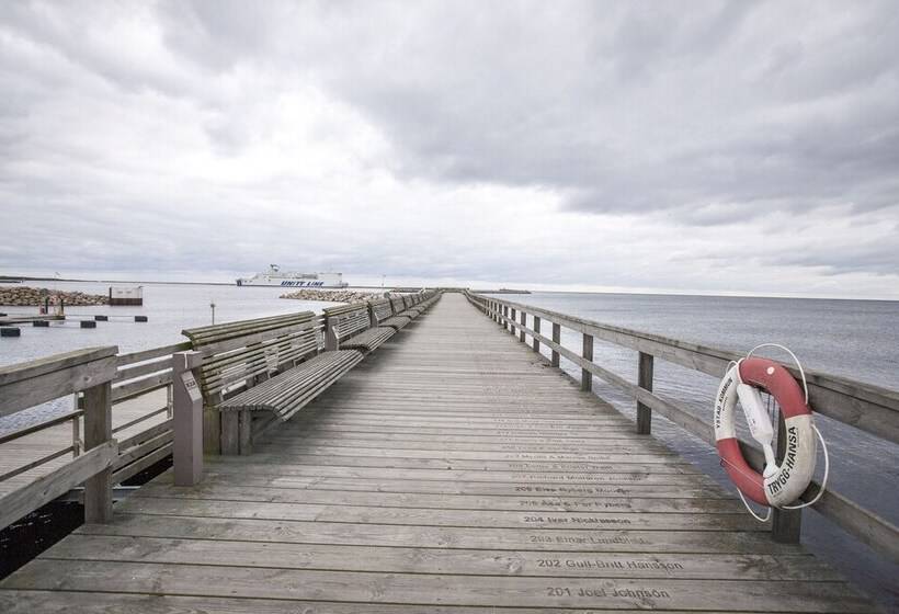 Отель Continental Du Sud