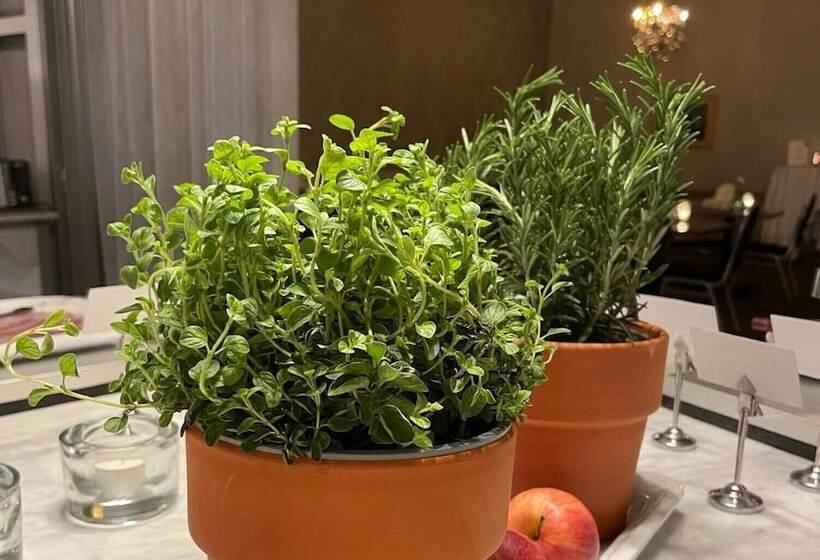 First Hotel Statt örnsköldsvik