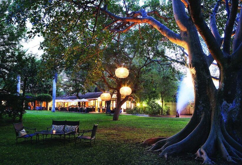 בית מלון כפרי Ghost Mountain Inn