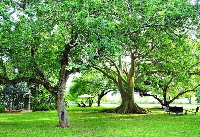 בית מלון כפרי Ghost Mountain Inn