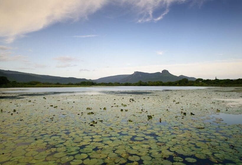 בית מלון כפרי Ghost Mountain Inn