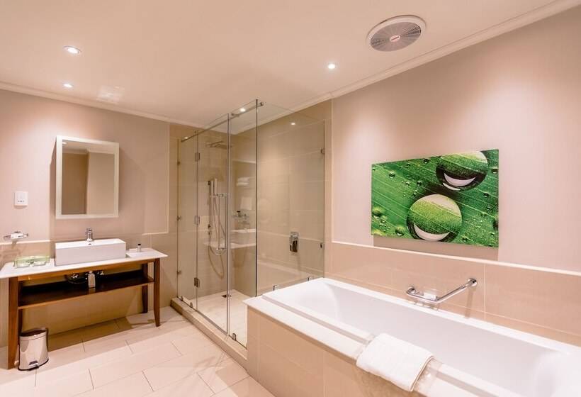 Отель Gold Reef City Theme Park