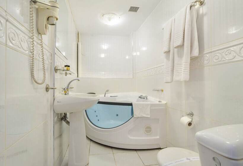 酒店 Imparatul Romanilor