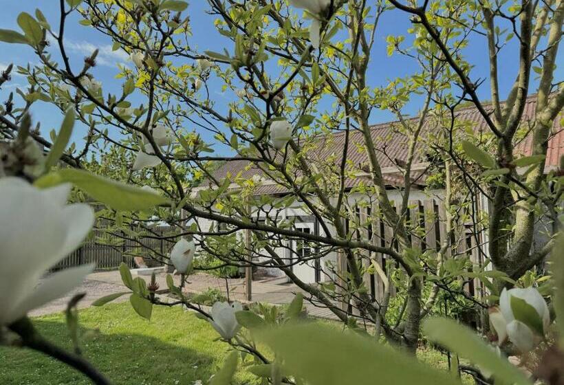 בית מלון כפרי L Magasin 1