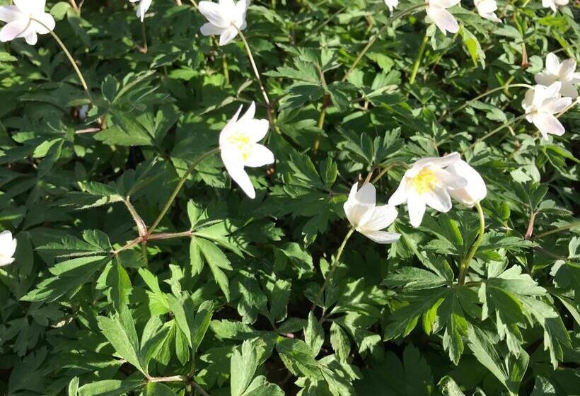 בית מלון כפרי L Magasin 1