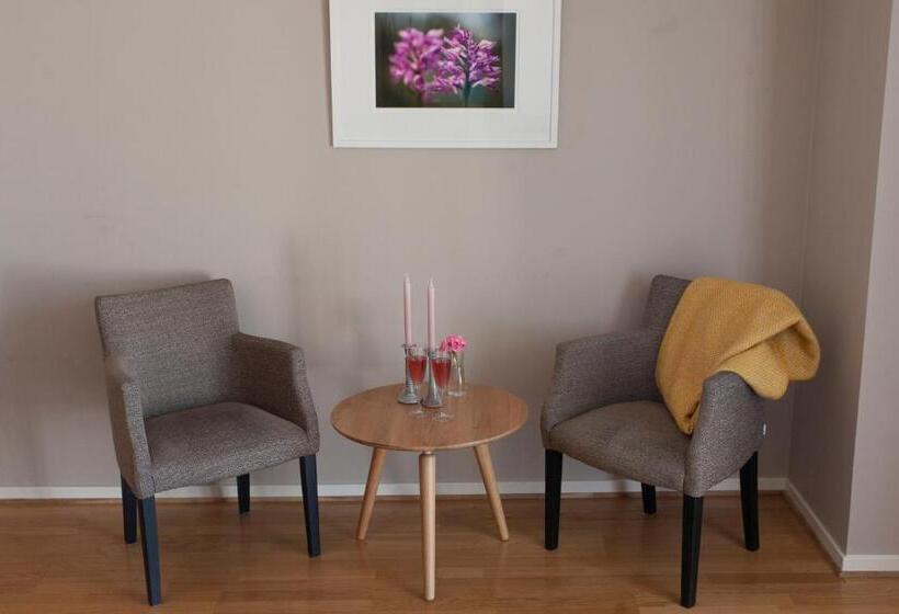 בית מלון כפרי L Magasin 1