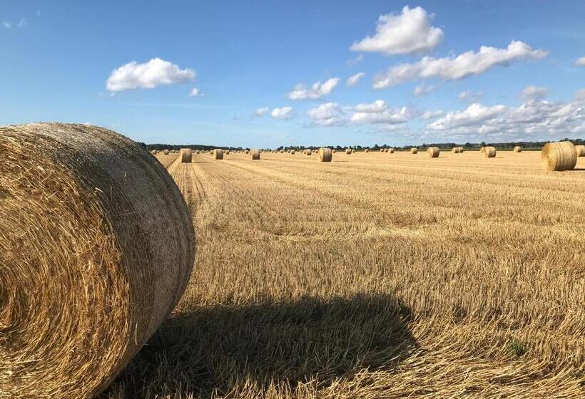 בית מלון כפרי L Magasin 1