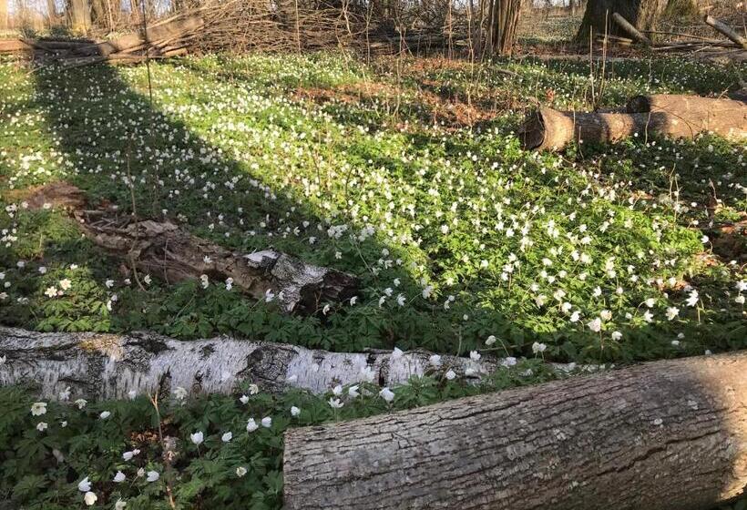 בית מלון כפרי L Magasin 1