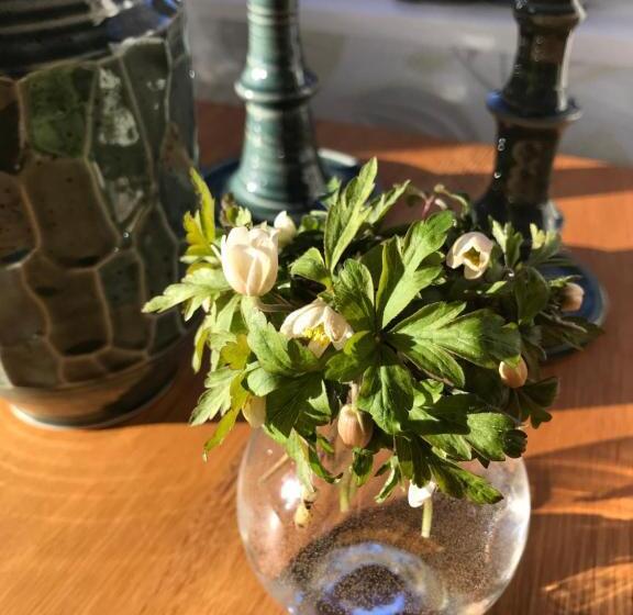 فندق L Magasin 1