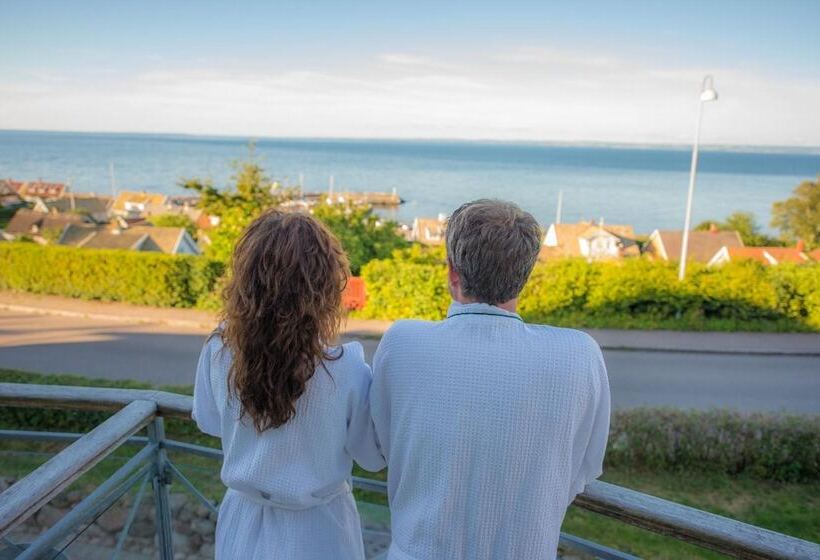 酒店 Rusthållargården