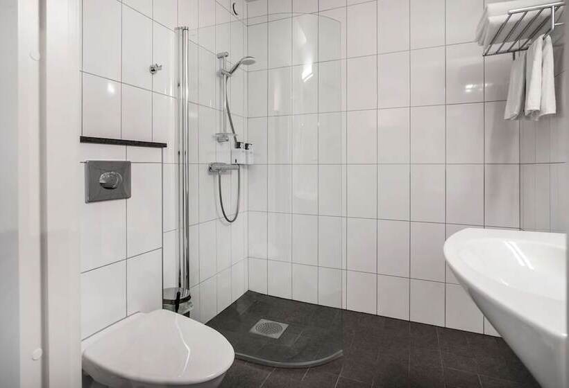 בית מלון כפרי Scandic Linkoping Vast