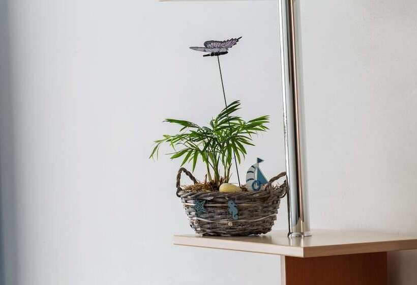 فندق Sirena Saturn All Inclusive