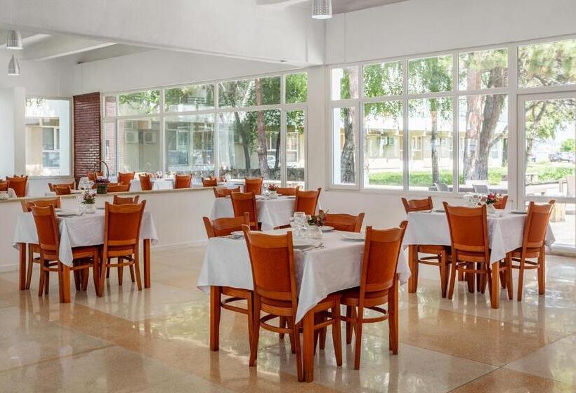 בית מלון כפרי Siret Saturn