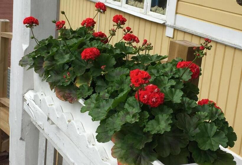 בית מלון כפרי Stf Tre Björnar B&b