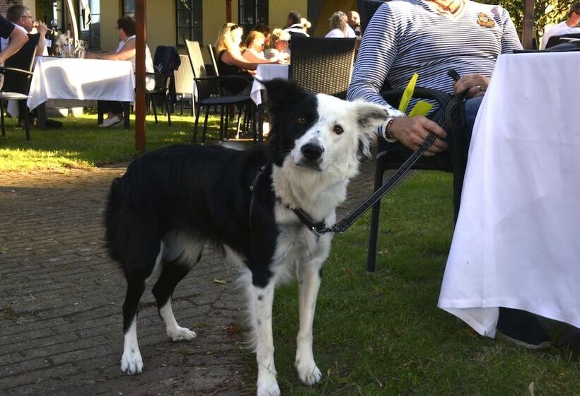 Svea Sure Hotel Collection By Best Western