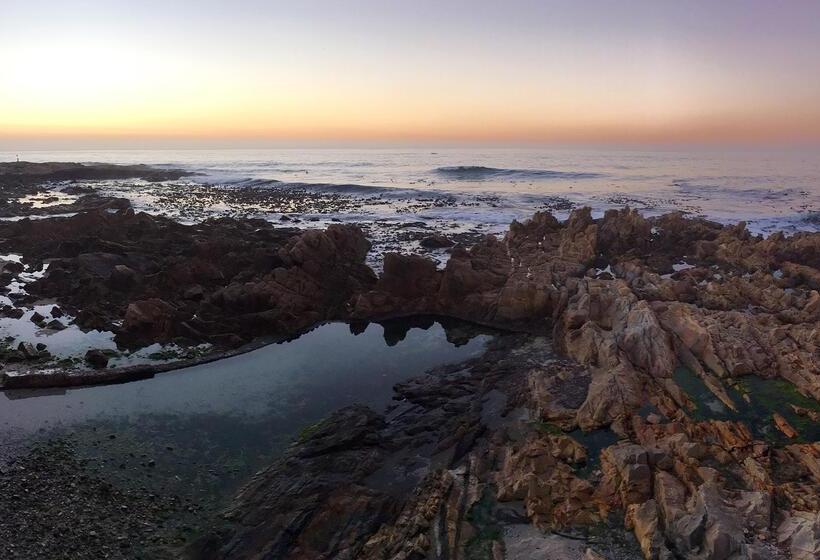 Peninsula All Suite Hotel By Dream Resorts